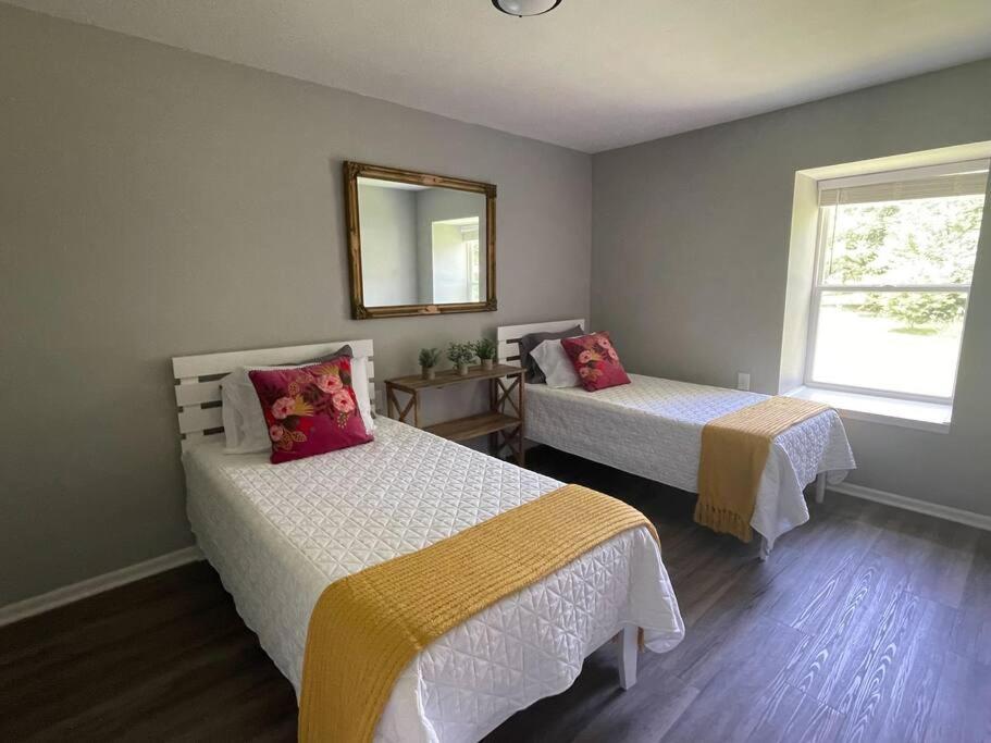 The Deannie Apt #6 - Simple And Homey 2Bd W/ Wifi Hamilton 外观 照片